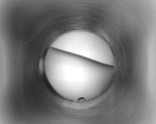 X0000096690022200802121242