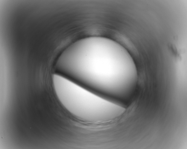 X0000096690023200802121242