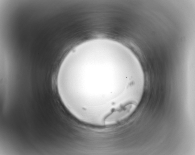 X0000096690024200802121242