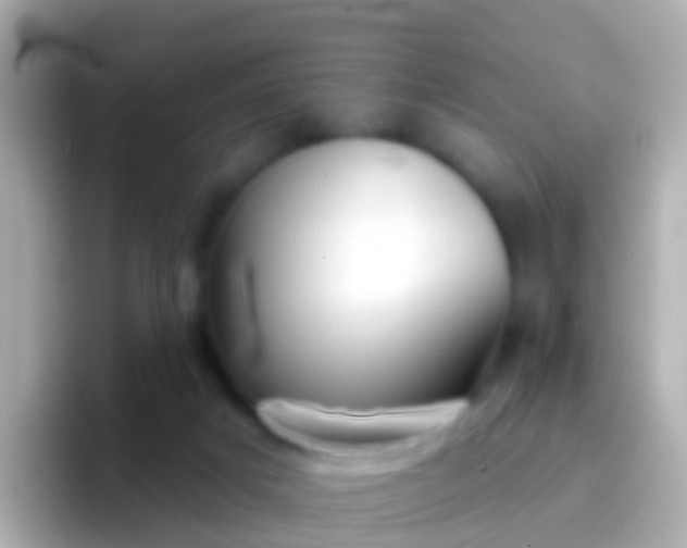 X0000096690025200802121241