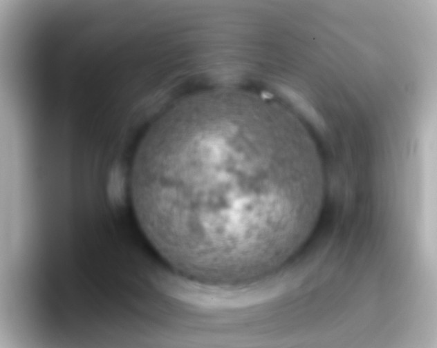 X0000096690026200802121241