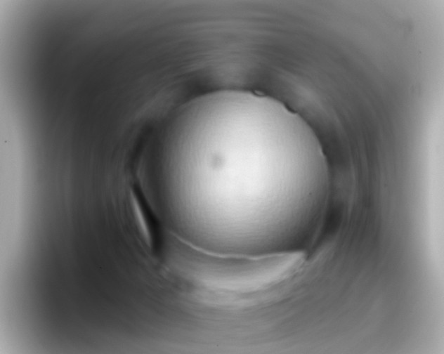 X0000096690029200802121241