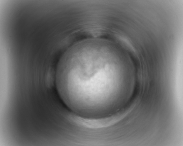 X0000096690030200802121241