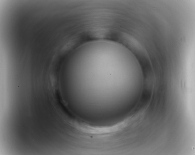 X0000096690031200802121241