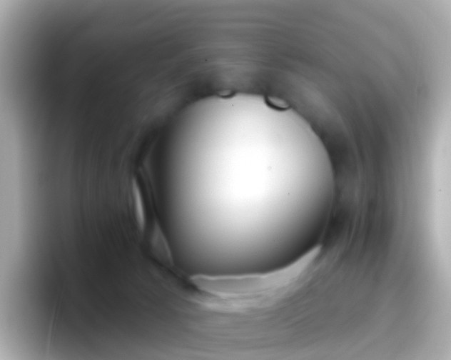 X0000096690033200802121241