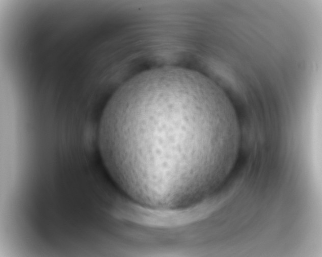 X0000096690034200802121241