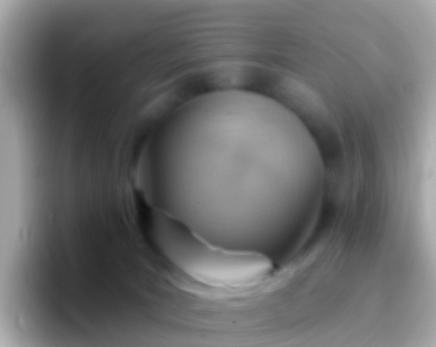 X0000096690035200802121241