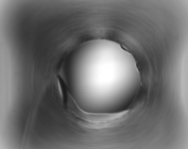 X0000096690037200802121241