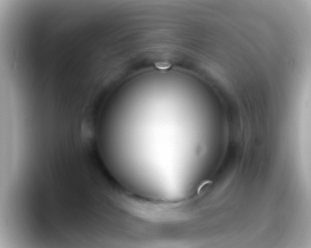 X0000096690040200802121241