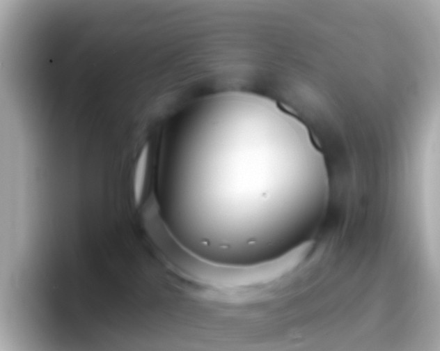 X0000096690041200802121241