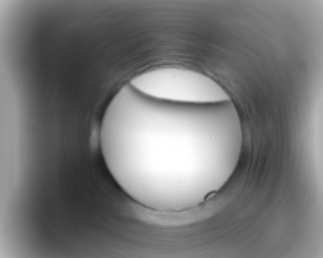 X0000096690042200802121241