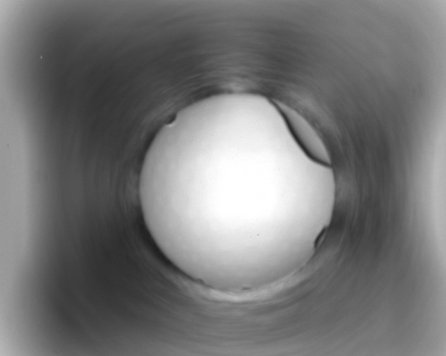 X0000096690043200802121241