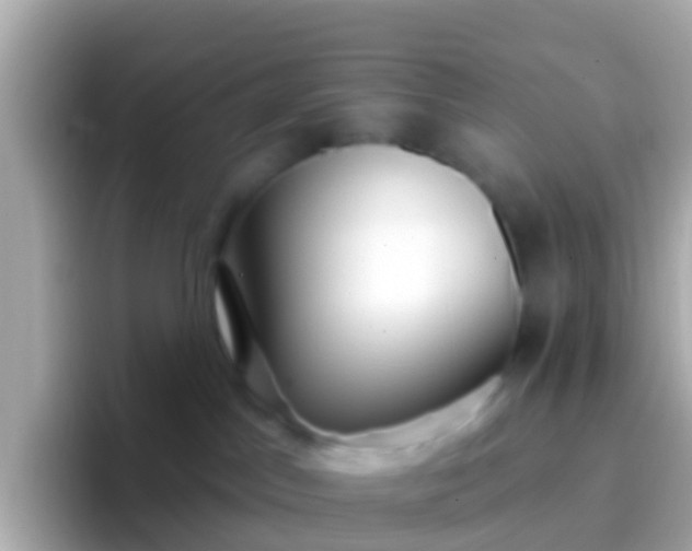 X0000096690045200802121241