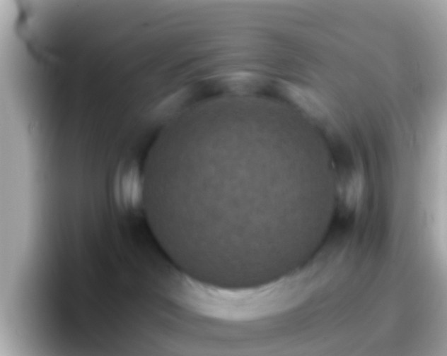 X0000096690046200802121241