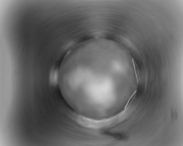 X0000096690047200802121241