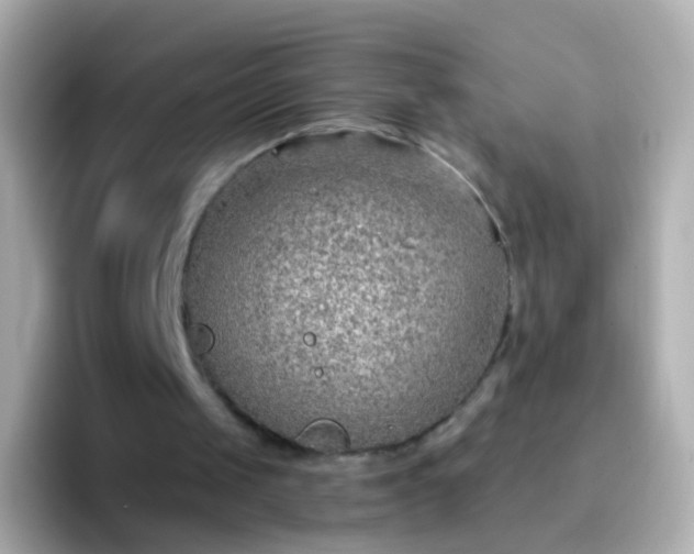 X0000096690049200802121241