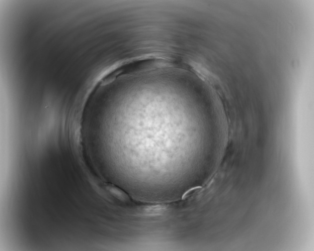 X0000096690050200802121241