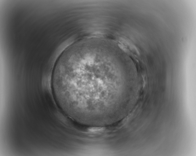 X0000096690051200802121241