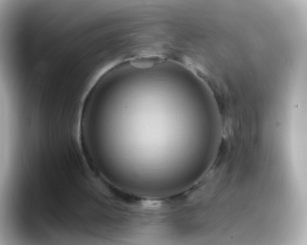 X0000096690052200802121241