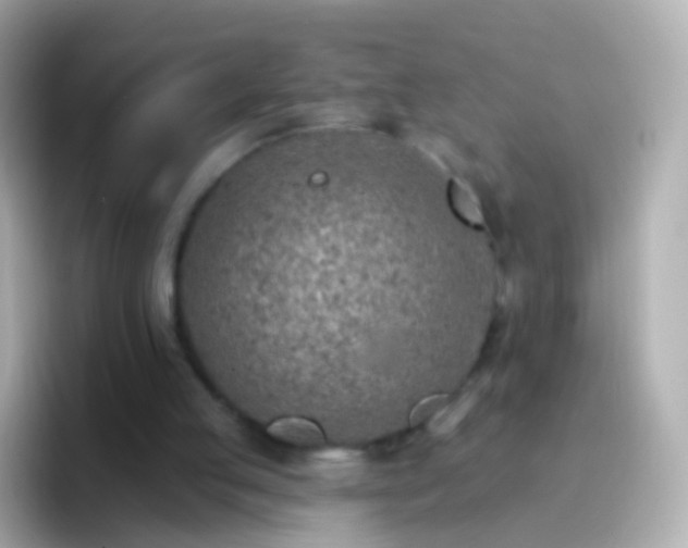 X0000096690053200802121241