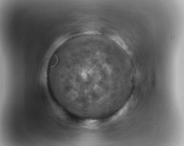 X0000096690055200802121241