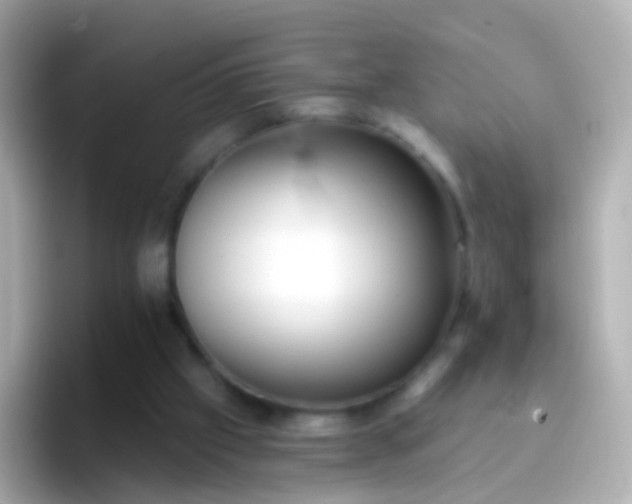 X0000096690057200802121241