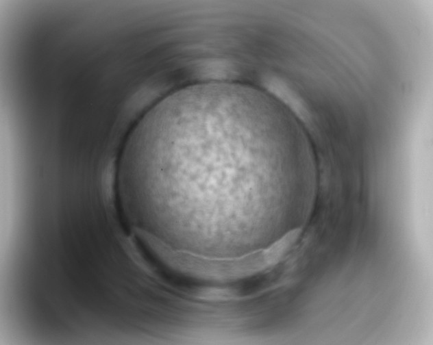 X0000096690058200802121241