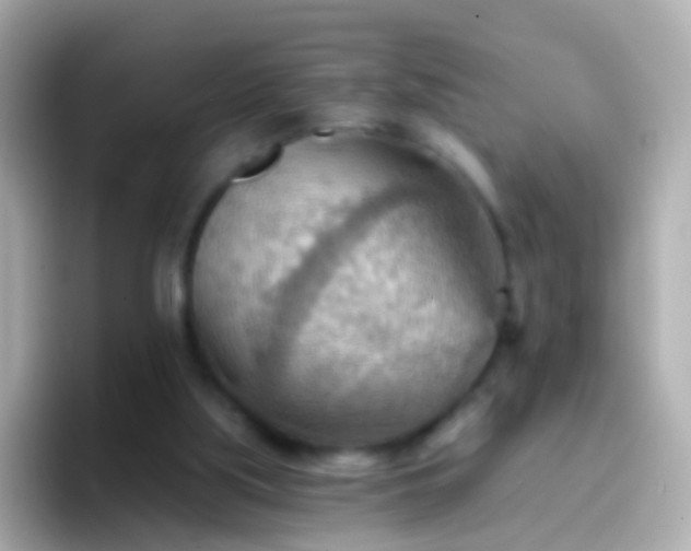 X0000096690059200802121241