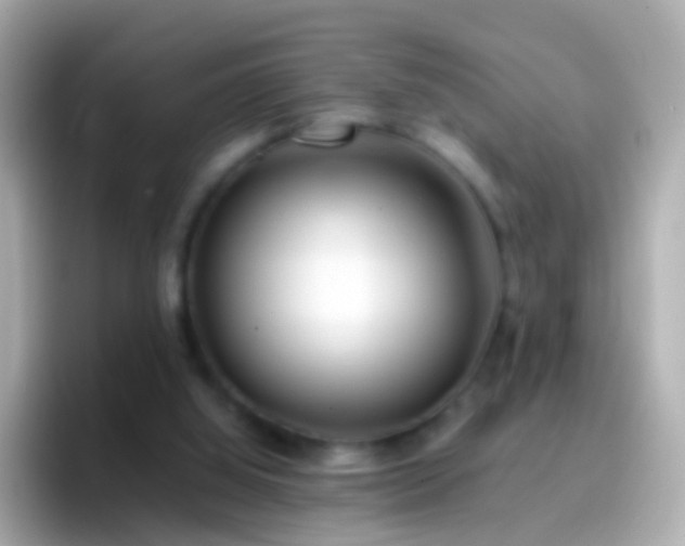 X0000096690060200802121241