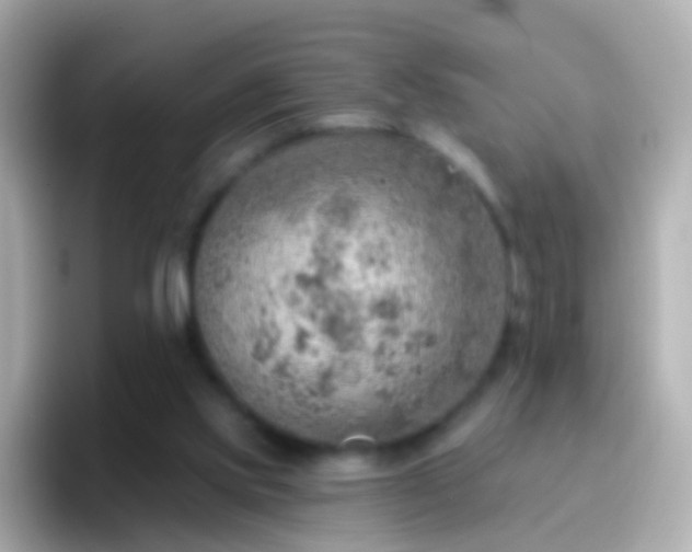 X0000096690061200802121241