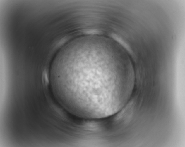 X0000096690062200802121241