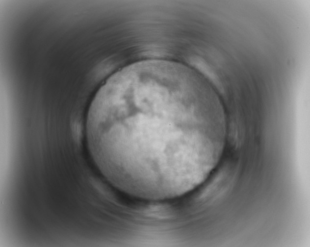 X0000096690063200802121241