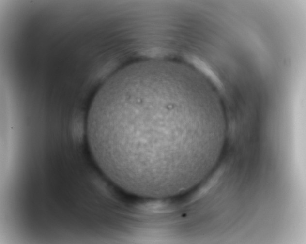 X0000096690065200802121241