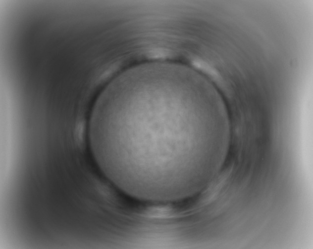 X0000096690066200802121241