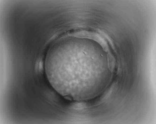 X0000096690067200802121241