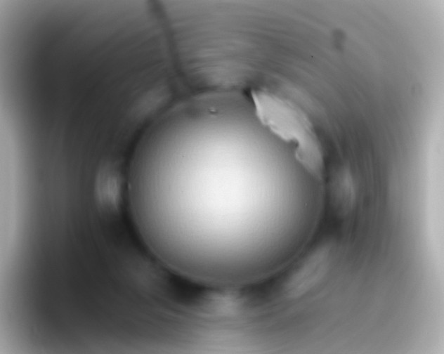 X0000096690071200802121241