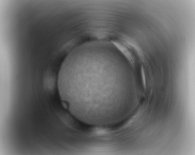 X0000096690073200802121241