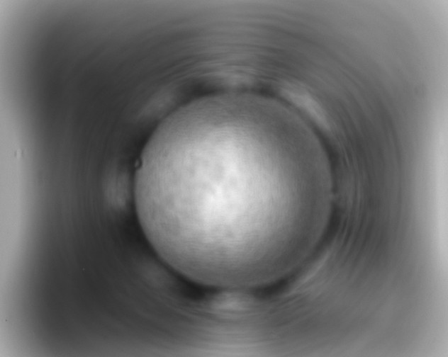 X0000096690077200802121241