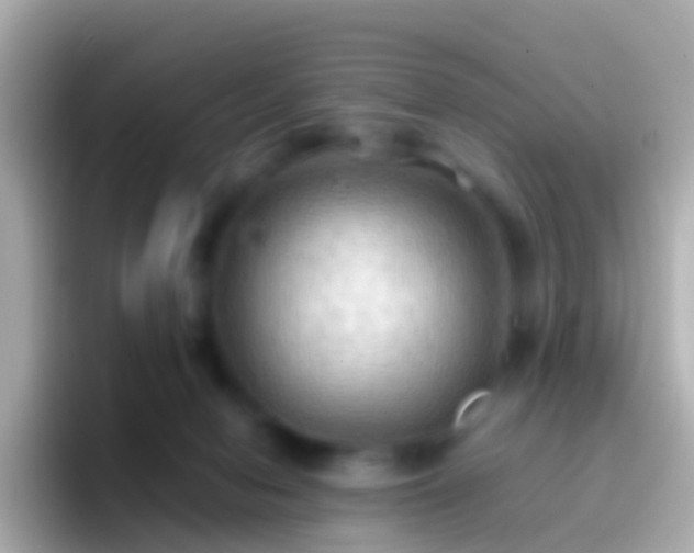 X0000096690078200802121241