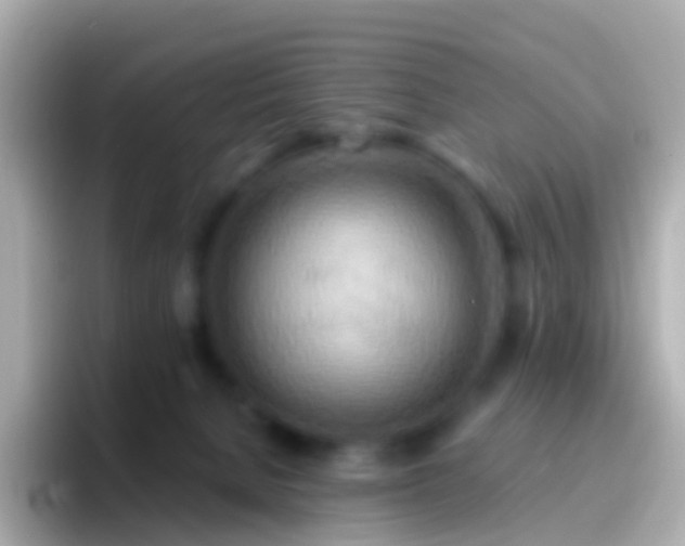 X0000096690080200802121241