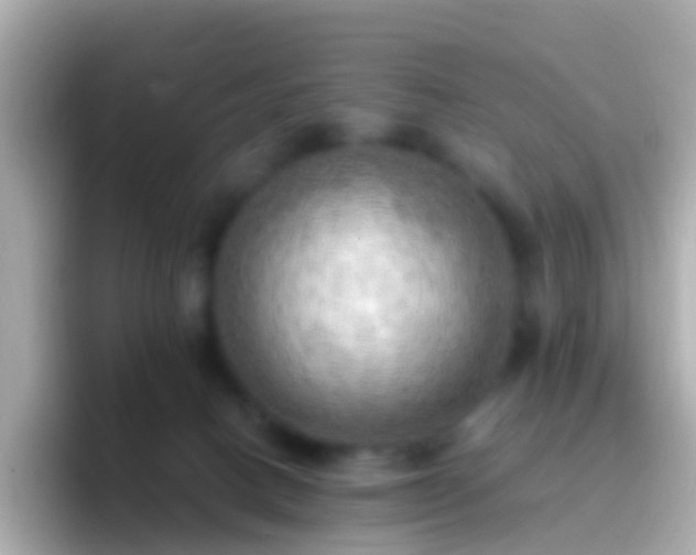 X0000096690082200802121241