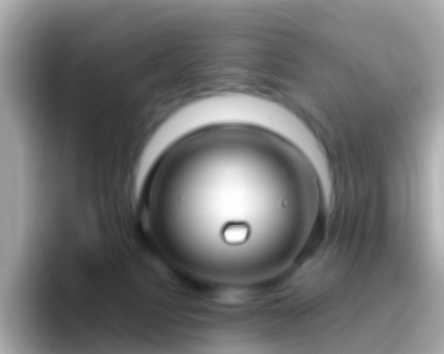 X0000096690088200802121241