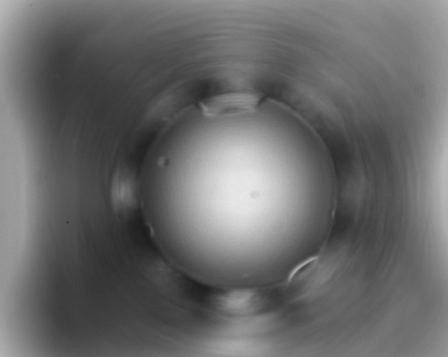 X0000096690090200802121241