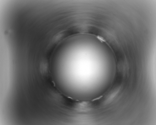 X0000096690092200802121241