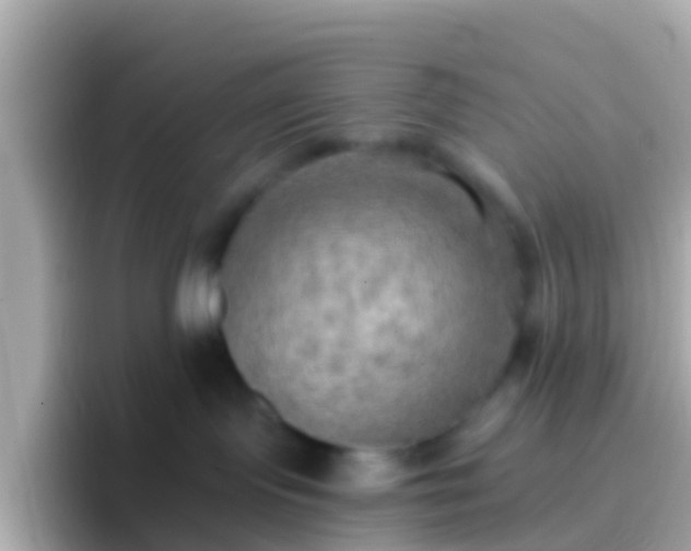 X0000096690095200802121241