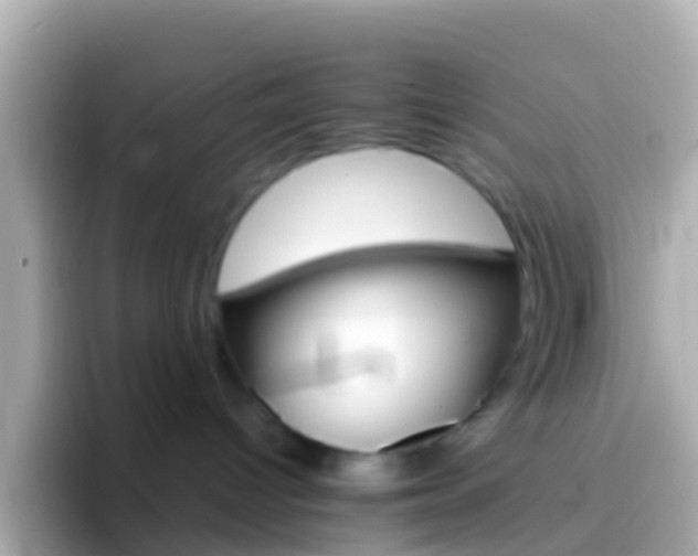 X0000096690096200802121241