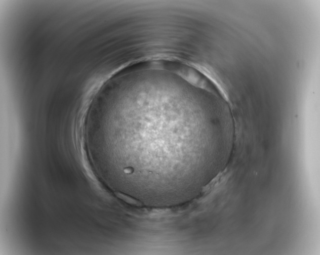 X0000096690097200802121241