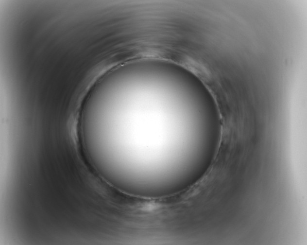 X0000096690098200802121241