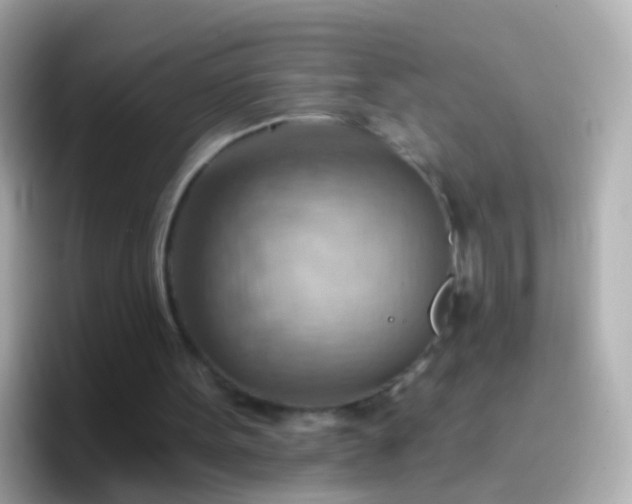 X0000096690099200802121241