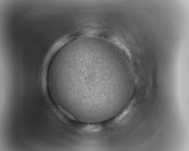 X0000096690101200802121240